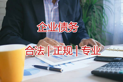 在线起诉欠款者可行吗？